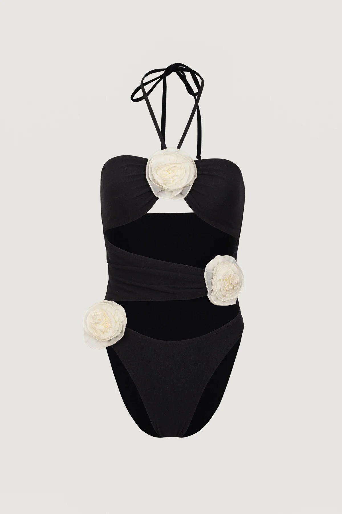 Amia Cut Out One Piece